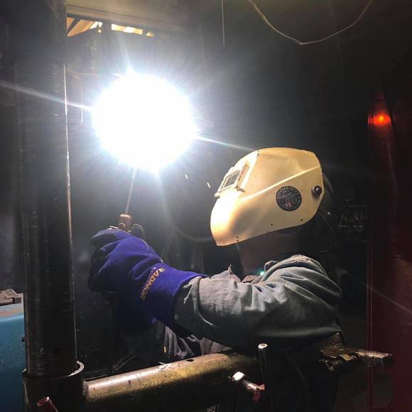 Meet your Posher, Dylan - Picture 1 of 1